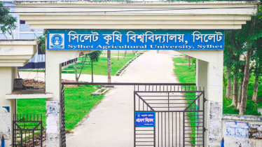 সিলেট কৃষি বিশ্ববিদ্যালয়ে ১৭ শিক্ষার্থীকে র‌্যাগিংয়ের অভিযোগ