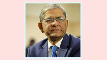 সোমবার দেশে ফিরবেন মির্জা ফখরুল