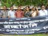 সাইদুলের পেশা শিক্ষকতা, নেশা জমির দালালি