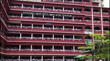 সামসুল হক খান স্কুলে বৃত্তি পেল ২৫৩ শিক্ষার্থী সামসুল হক খান স্কুলে বৃত্তি পেল ২৫৩ শিক্ষার্থী